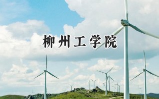 2024柳州工学院录取分数线：山西最低380分