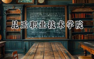 2024昆玉职业技术学院录取分数线：宁夏最低304分