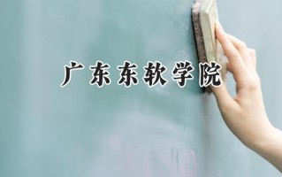 2024广东东软学院录取分数线：河南最低405分