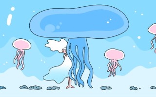 地方专项与定向招生的区别在哪里