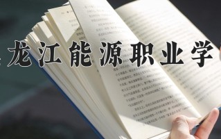 2024年黑龙江能源职业学院录取分数线，新疆最低175分