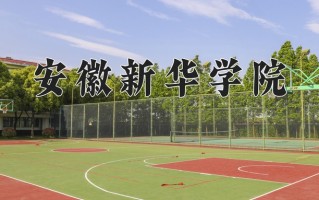 2024安徽新华学院录取分数线：浙江最低484分