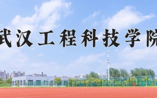 2024武汉工程科技学院录取分数线：浙江最低359分