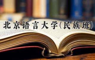2024年北京语言大学(民族班)录取分数线，宁夏最低428分