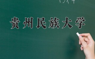 2024贵州民族大学录取分数线，重庆录取最低分499