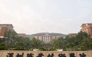 2024年深圳职业技术大学录取分数线，新疆最低293分