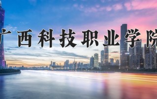 2024年广西科技职业学院录取分数线，青海最低225分
