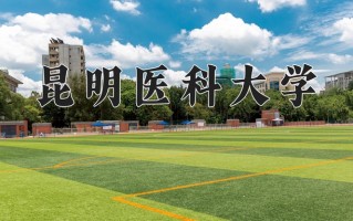 2024昆明医科大学录取分数线：浙江最低489分