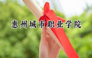 2024惠州城市职业学院录取分数线：山西最低195分