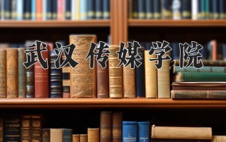 2024武汉传媒学院录取分数线：浙江最低476分