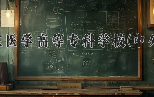 2024年石家庄医学高等专科学校(中外合作)录取分数线，青海最低283分