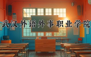 2024年武汉外语外事职业学院录取分数线，河北最低314分