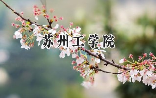 苏州工学院2024在山东录取分数线是多少？最低484分/最高538分