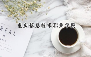 2024重庆信息技术职业学院录取分数线：陕西最低252分