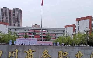 2024四川商务职业学院录取分数线，重庆录取最低分317