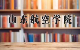 2024山东航空学院录取分数线：浙江最低487分