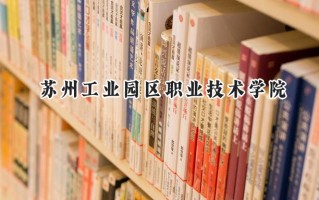 苏州工业园区职业技术学院2024在江苏录取分数线是多少？最低262分/最高403分