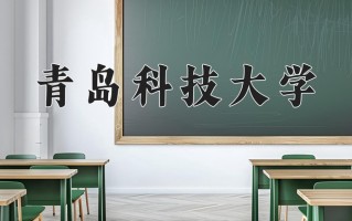 2024青岛科技大学录取分数线：浙江最低503分