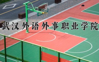 2024年武汉外语外事职业学院录取分数线，宁夏最低253分
