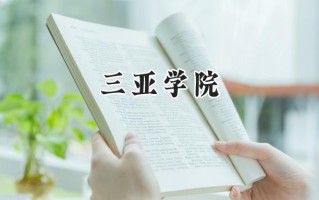三亚学院2024在江苏录取分数线是多少？最低462分/最高496分