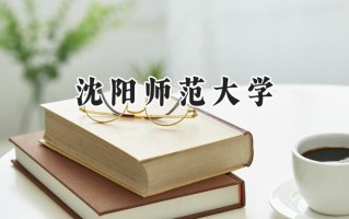 沈阳师范大学2024在浙江录取分数线是多少？最低491分/最高600分