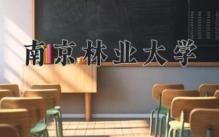 木结构建筑与材料学费多少？附河南2024年招生的大学
