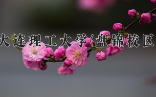 2024年大连理工大学(盘锦校区)录取分数线，新疆最低517分