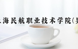 2024年上海民航职业技术学院(男)录取分数线，内蒙古最低216分