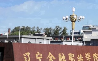 2024年辽宁金融职业学院录取分数线，新疆最低213分
