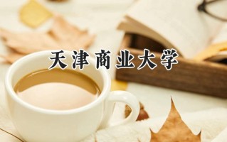 天津商业大学2024在福建录取分数线是多少？最低525分/最高553分