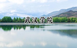 武汉学院2024在山东录取分数线是多少？最低491分/最高508分