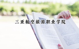 2024三亚航空旅游职业学院录取分数线：陕西最低184分