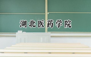 2024湖北医药学院录取分数线：江苏最低539分