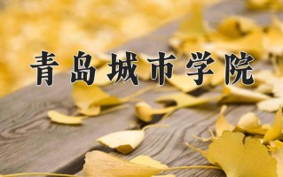 青岛城市学院最厉害的专业-2024青岛城市学院最好专业