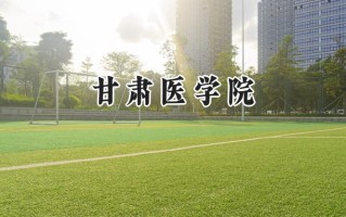 甘肃医学院2024在山东录取分数线是多少？最低488分/最高536分