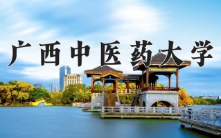 2024广西中医药大学录取分数线，重庆录取最低分538