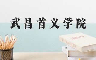 2024武昌首义学院录取分数线：浙江最低269分
