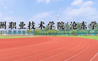 2024年沧州职业技术学院(沧东学院)录取分数线，河北最低351分