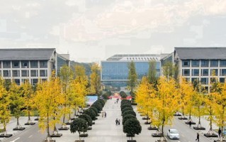2024年重庆工程职业技术学院录取分数线，新疆最低253分