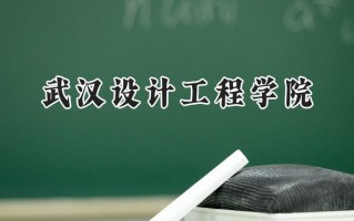 武汉设计工程学院2024在江苏录取分数线是多少？最低462分/最高480分