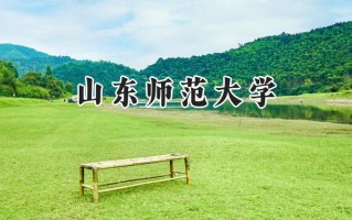 山东师范大学2024在上海录取分数线是多少？最低471分/最高501分