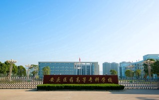 2024年安庆医药高等专科学校录取分数线，宁夏最低340分