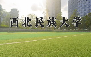 2024年西北民族大学录取分数线，新疆最低311分