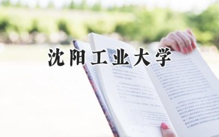 2024沈阳工业大学录取分数线：天津最低524分