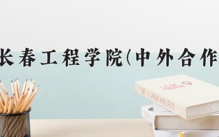 2024长春工程学院(中外合作)录取分数线，重庆录取最低分471