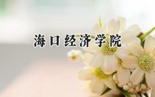 海口经济学院2024在青海录取分数线是多少？最低138分/最高384分
