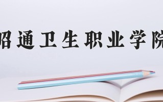 2025年昭通卫生职业学院在四川计划招生人数（附学费及专业录取分)