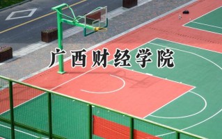 广西财经学院2024在福建录取分数线是多少？最低490分/最高523分