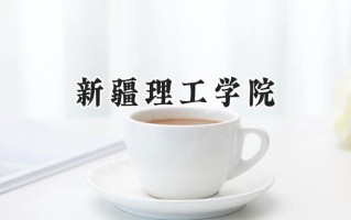 新疆理工学院2024在山东录取分数线是多少？最低459分/最高519分