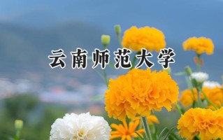 云南师范大学2024在内蒙古录取分数线是多少？最低429分/最高495分